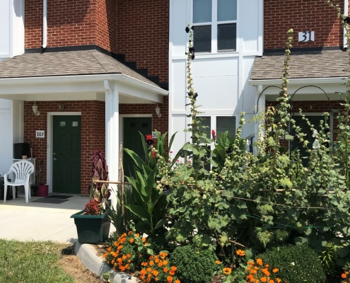 garden in front of a house