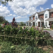 garden with property in back