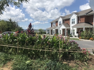 garden with property in back