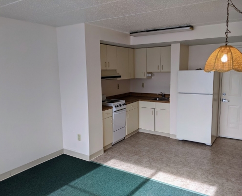 Lineweaver Efficiency Unit