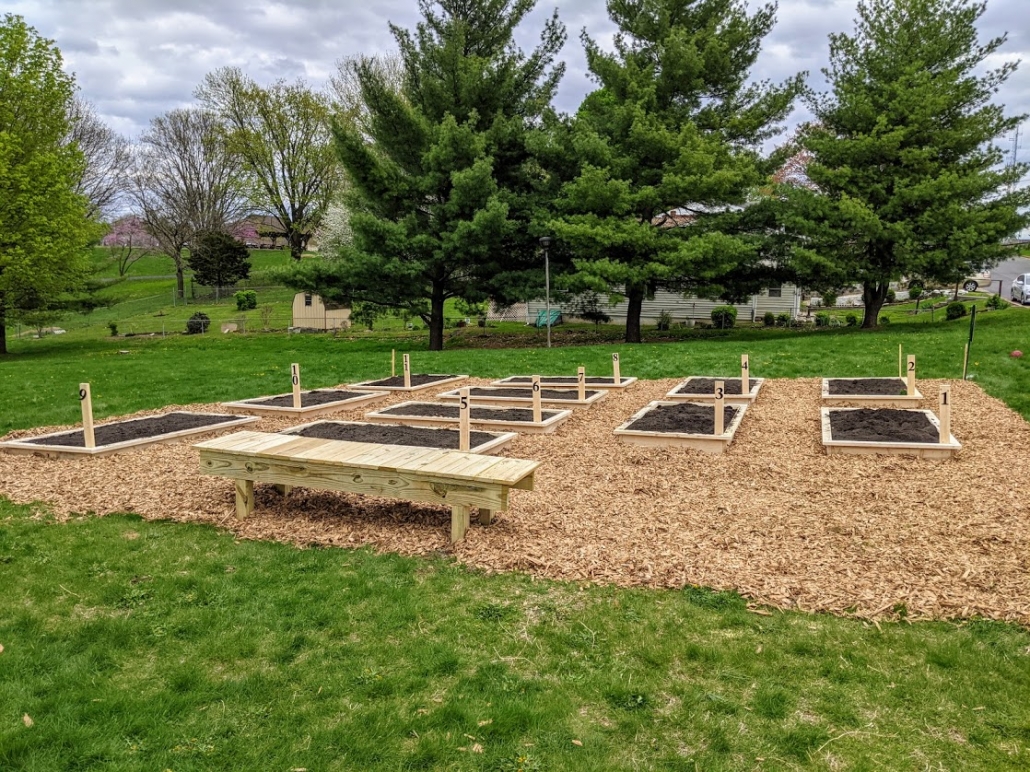 PXL_20210417_181250338 hrha planting day