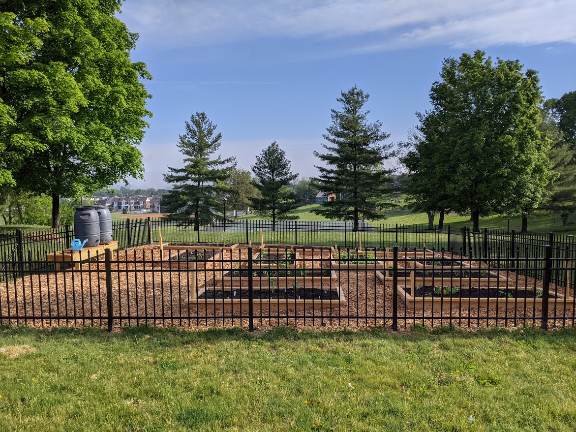 After planting May 17 2021