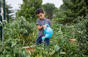 Justice watering garden - photo by Daniel Lin of the Daily News Record