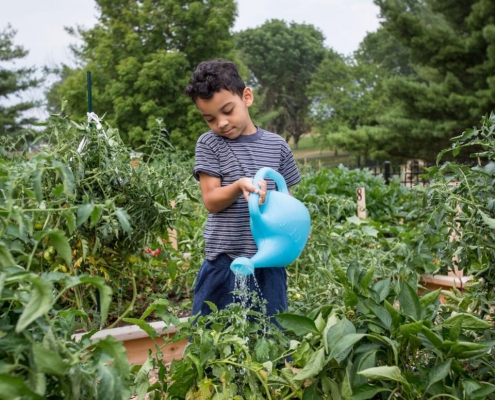 Justice watering garden - photo by Daniel Lin of the Daily News Record
