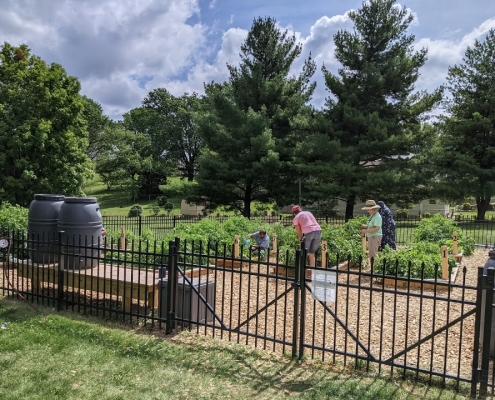 PXL_20210626_145654865 hrha planting day